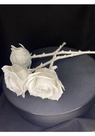Resim Paiplayshop Gül Boyama - Boyama Seti Ve 3 Adet Boyanabilir Gül Seti Çizgi Karakter 