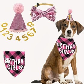 Resim 4 adet Pet Festival Kostüm Seti - Ayarlanabilir Köpek Doğum Günü Şapkası, Kravat, Bandana ve Kek Süsleri, Polyester ve Pamuk Karışımı, Makine Yıkanabilir, Orta Irklar için İdeal, Parti Aksesuarları|Oyuncağı Köpek Aksesuarları|Makine Yıkanabilir Aksesuarlar 