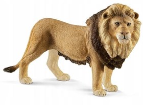 Resim Schleich Erkek Aslan 17107 