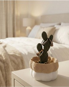 Resim Elana Design Kaktüs Tasarımlı Takı Kutusu Yüzük, Bileklik Ve Kolye Düzenleyici Dekoratif Saklama Kutusu Bej - Şeffaf 