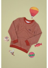 Resim U.s. Polo Assn. Erkek Çocuk Kiremit Sweatshirt 50290787-vr031 Kiremit 