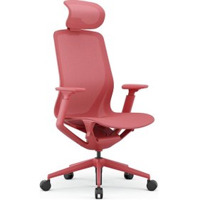 Resim Xdrive Xd-1002-fileli Başlıklı Çalışma Koltuğu Mercan Mercan 