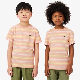 Resim Lacoste Çocuk Bisiklet Yaka Çizgili Kahverengi T-Shirt 