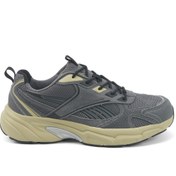 Resim Reebok BRINY BREEZES II Gri Erkek Sneaker 