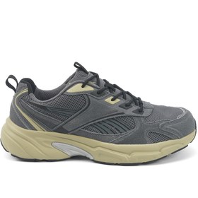 Resim Reebok BRINY BREEZES II Gri Erkek Sneaker 