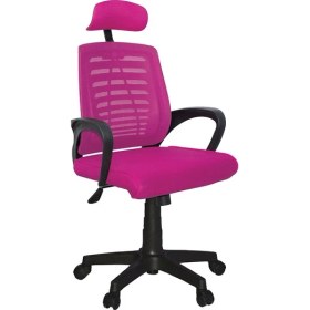 Resim Türksit Karizma File Müdür Koltuk Plastik Ayak Mavi 