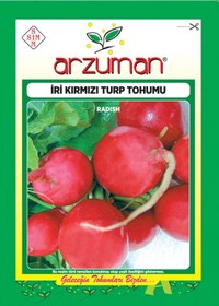 Resim İri Kırmızı Turp Tohumu 