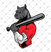 Resim Bay Etiket Andg32 Beyzbol Sopali Pitbull Etiketi 