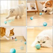 Resim İnteraktif Kedi Köpek Şarjlı Oyun Topu 