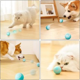Resim İnteraktif Kedi Köpek Şarjlı Oyun Topu 