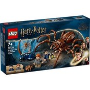 Resim LEGO Harry Potter Aragog Yasak Ormanda 76434 