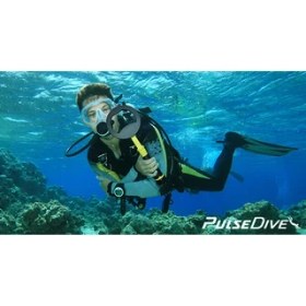 Resim Nokta Dedektör Pulsedive Scuba Sualtı Dedektörü 