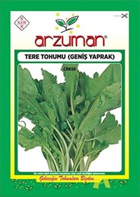 Resim Tere Tohumu 1 Paket 25 GR Geniş Yaprak Tere Tohumu 