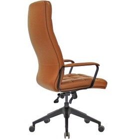 Resim Uzayofismobilyaları Uzay Ofis Sprite Müdür Koltuğu - Taba 