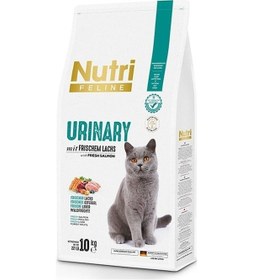 Resim Adult Urinary Idrar Sağlığı Somonlu Yetişkin Kedi Maması 10 Kg 