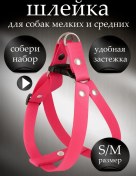 Resim Petsare Küçük Ve Orta Irk Köpek Ve Kedi Tasması 90398353 