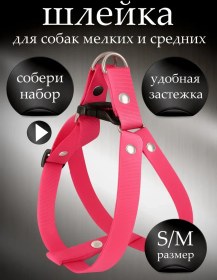 Resim Petsare Küçük Ve Orta Irk Köpek Ve Kedi Tasması 90398353 