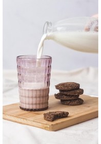 Resim Allegra Mürdüm Akrilik Bardak 400 Ml Şık Su Ve Meşrubat Bardağı Cam Değildir Kırılmaya Dayanıklı Tekli Çok Renkli 