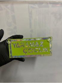 Resim Yeşil Renk Üzeri Hologram Renk Yaramaz Çocuk Yazılı Vantuzlu Cam Süsü 