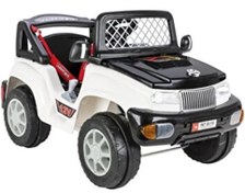 Resim Pilsan Panther Akülü Araba Kumandalı 12 Volt Beyaz 