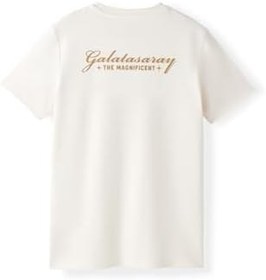 Resim Galatasaray Erkek T-Shirt E252138 
