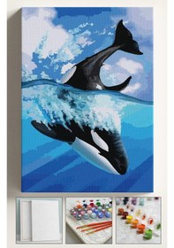 Resim Sayılarla Boyama Çerçeveli Hobi Seti Numaralı Tuval Fırça Boya Dahil Kasnaklı Balina 40x50 Cm 