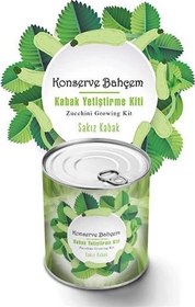 Resim Ct Stones Konserve Bahçem Evde Konservede Sakız Kabak Yetiştirme Kiti 