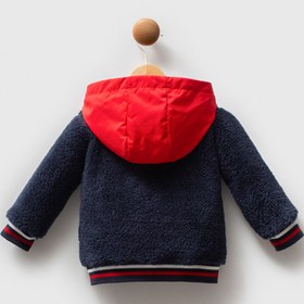 Resim U.S. Polo Assn. U.S. Polo Assn Erkek Bebek Lacivert Mont 