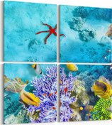 Resim Olla 125x125 Cm 12129k4 Akvaryum / Balık Görseli Kare 4'lü Kanvas Tablo 