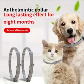 Resim Kedi ve Köpek Sakinleştirici Yaka, Yaz için Olmazsa Olmaz 