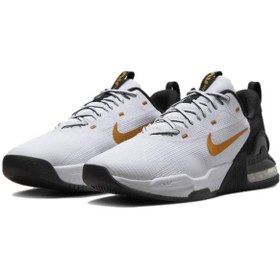Resim Nike Beyaz Erkek Training Ayakkabısı DM0829-101 