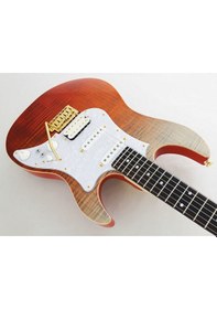Resim Fujigen Odyssey Elektro Gitar Eosfmrrkg 