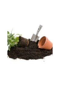 Resim 3 Litre Zengin Karışım Çiçek Toprağı Özel Karışım Süpriz Hediye Tohumludur 