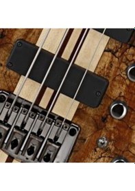 Resim Cort A4 Custom Spnatw Bas Gitar 4 Telli Aktif - Spalted Maple 