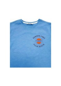 Resim Çikoby Erkek Çocuk Pamuklu Summer Yazılı Tshirt-14593 Mavi 