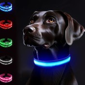Resim Küçük ve Orta Boy Köpekler İçin LED Gece Görünür Tasma - Evcil Hayvanınızı Gece Yürüyüşlerinde Güvende ve Görünürlüğü Sağlar, Hafif Su Geçirmez 