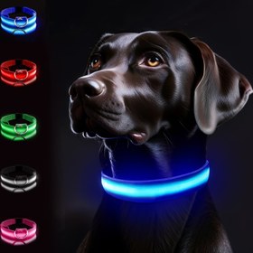 Resim Küçük ve Orta Boy Köpekler İçin LED Gece Görünür Tasma - Evcil Hayvanınızı Gece Yürüyüşlerinde Güvende ve Görünürlüğü Sağlar, Hafif Su Geçirmez 
