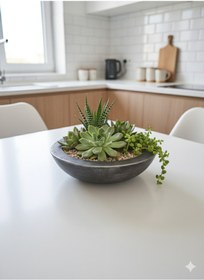 Resim Alba Home Decor Dekoratif sukulent kaktüs arajman saksı 
