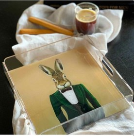 Resim Home Mr.rabbit Tavşan Figürlü Pleksi Tepsi 