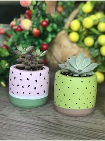 Resim Genel Markalar 4'lü Sukulent Ve Kaktüs Saksı Seti Tutti Frutti Meyveler 