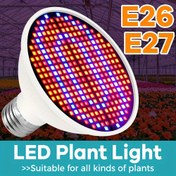Resim WENNI LED Bitki Işığı, Tam Spektrum Serası Ampul, E27/E26 Taban, 220V/110V-240V, 126/200/300 LEDs, Tohum Çimlenmesi, İç Mekan Çiçeği, Meyve, Yosun, Kaktüs, Saksı Bitkileri, Bahçe Çadırı, Sebze Yetiştirme için 