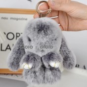 Resim Silver1 Gıoıo Yeni Sevimli Gerçek Saç Tilki Küçük Cinderblock Saç Araba Anahtarlık Kolye Ins Pixie Peluş Top Çanta Aksesuarları (Yurt Dışından) 