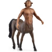 Resim Schleich Harry Potter Firenze 13986 