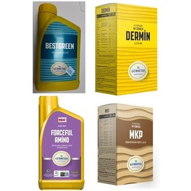 Resim Çotanak Plus, Dermin, Mkp, Bestgreen, Forceful Amino İçermektedir. 