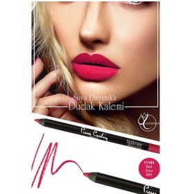 Resim Pierre Cardin Lipliner Suya Dayanıklı Dudak Kalemi 11103 