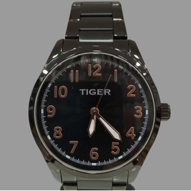 Resim Tiger ERKEK KOL SAATİ TF-63 