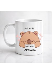 Resim Just A Girl Who Loves Capybaras Yazılı Kapibara Tasarımlı Kupa Model 215 Baskılı Seramik Kahve Kupası Beyaz 