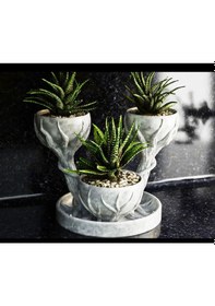 Resim 3d Üçlü Hand Of Tree Mermer Desenli Plastik Vazo Mermer Desen 