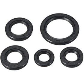 Resim Motobir Keçe Seti Bajaj Discover 125 150 