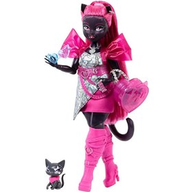 Resim Monster High Acayip Havalı Arkadaşlar Catty Noir Oyun Seti HXH76 